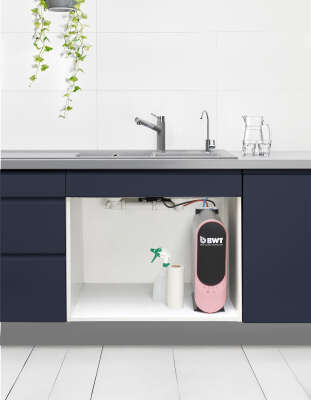 Image du produit OSMOSEUR BWT LAGOON - 125690609